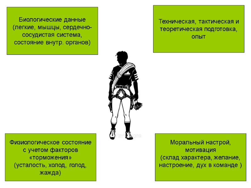 Техническая, тактическая и теоретическая подготовка, опыт Биологические данные  (легкие, мышцы, сердечно-сосудистая система, состояние